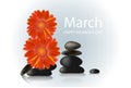 Banner for International Women`s Day. Realistic 3D Vector Zen Stones Royalty Free Stock Photo